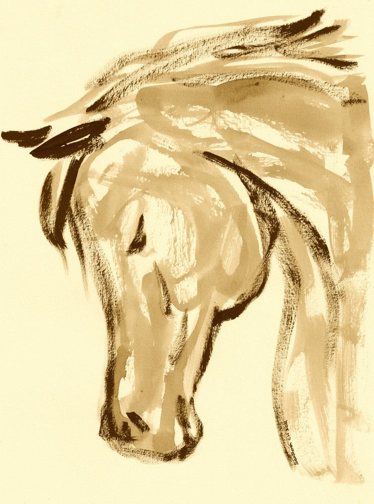 Majestic Equine Sketch