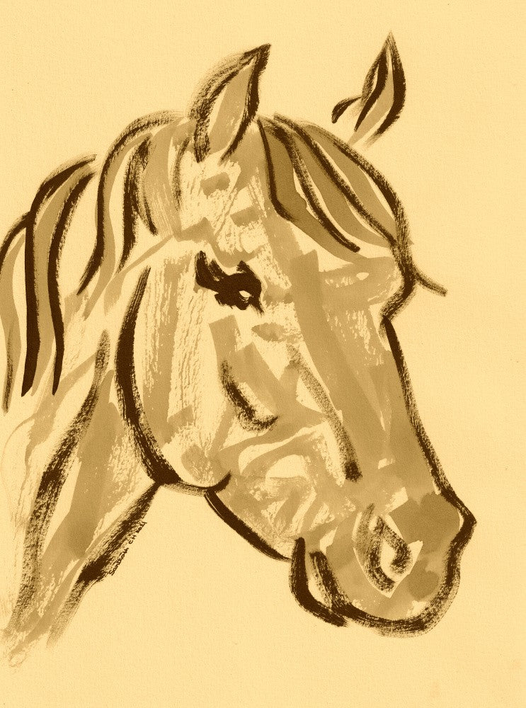 Majestic Equine Sketch
