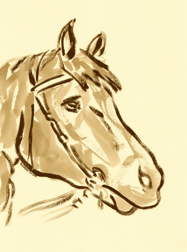 Equine Elegance