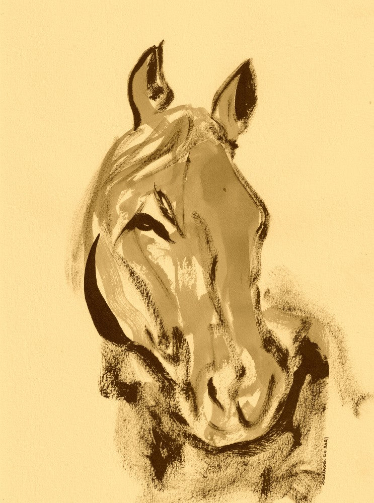 Majestic Equine