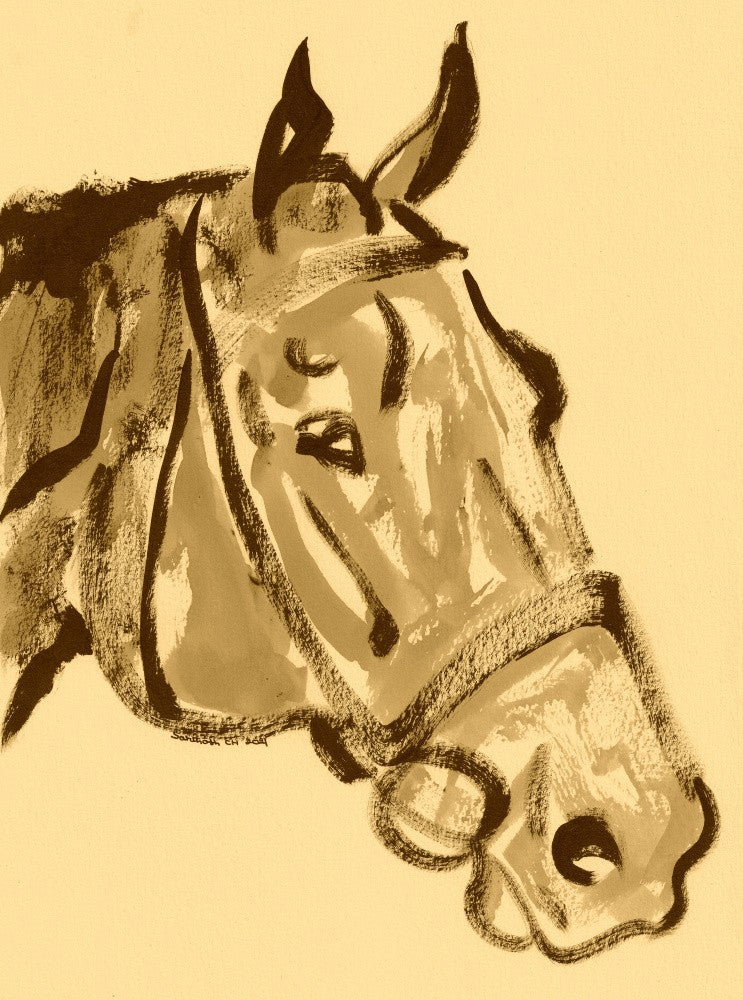 Majestic Equine Sketch
