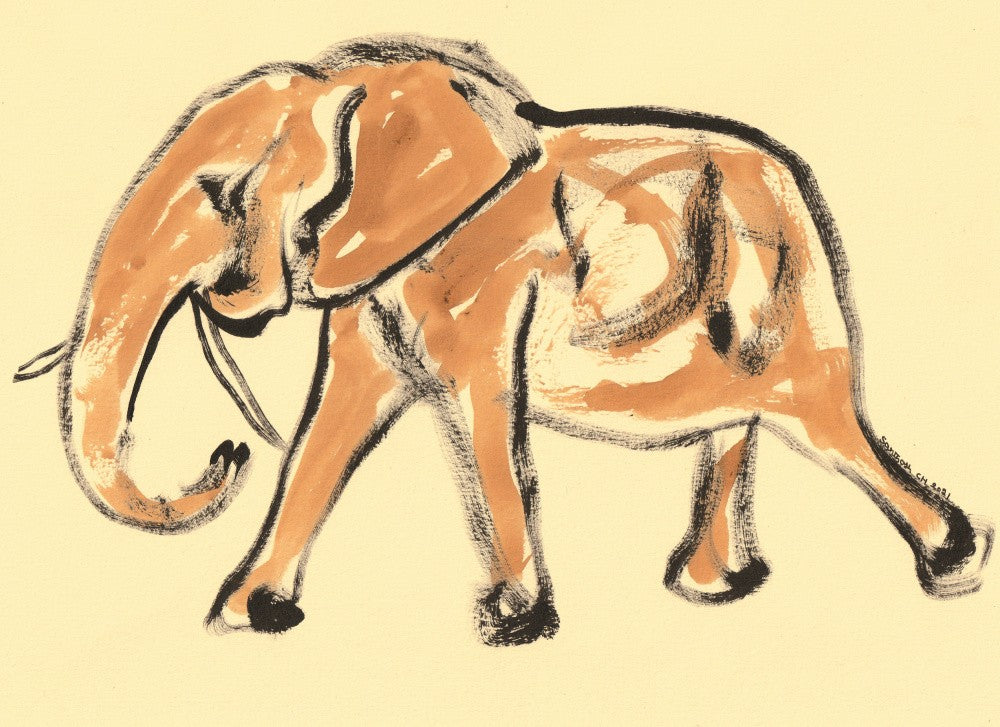 Gentle Elephant Stroll