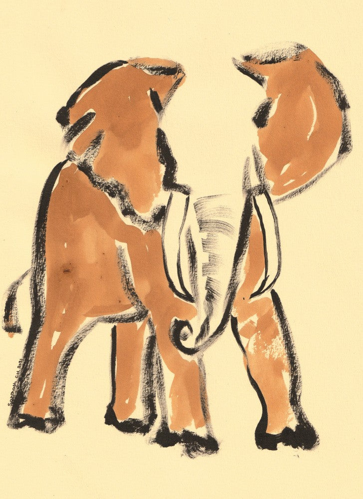 Gentle Elephant Stroll