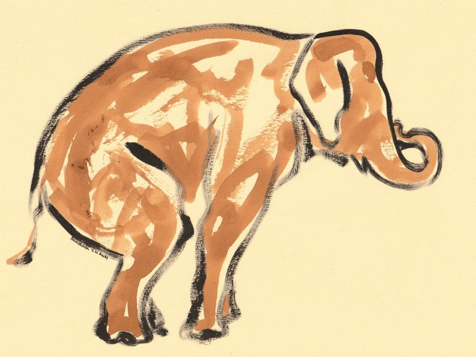 Gentle Elephant Brush