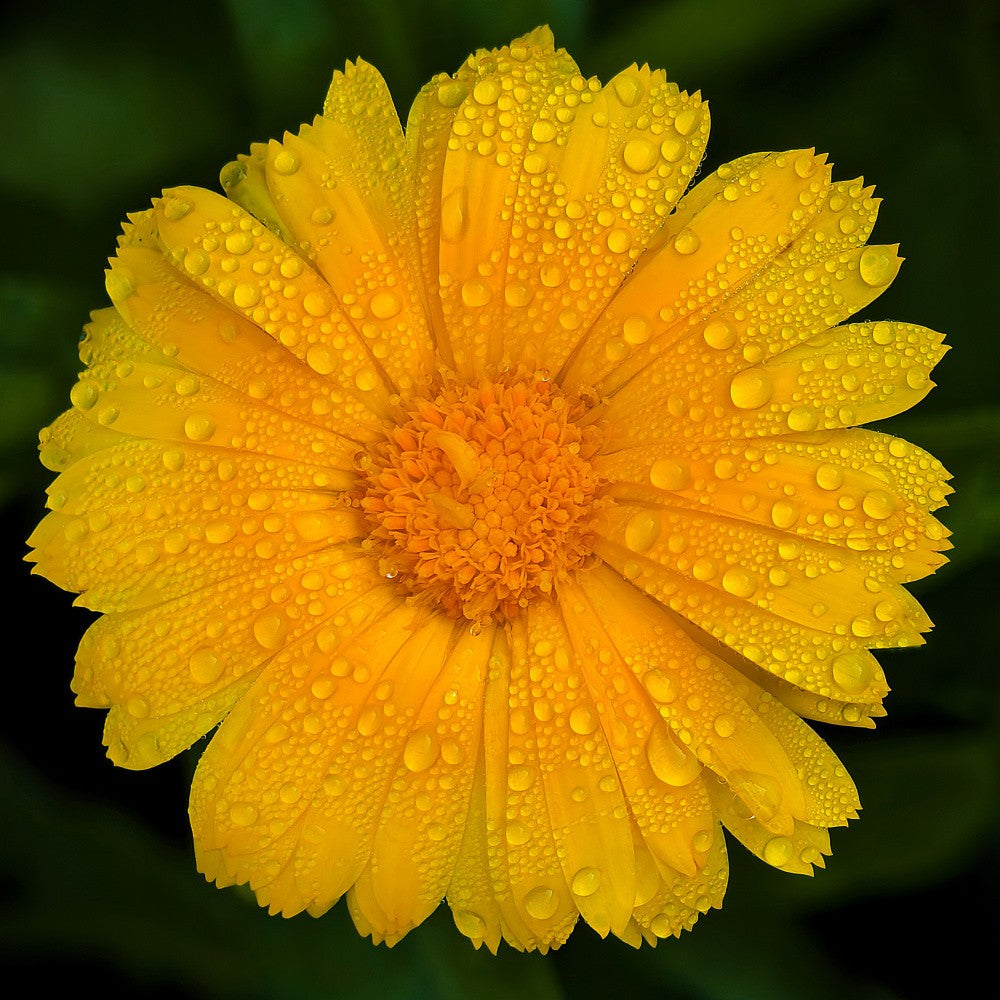 After Raining