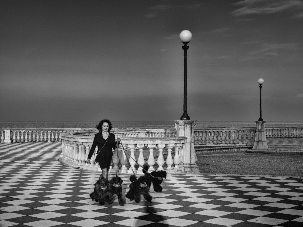 Walking the dogs