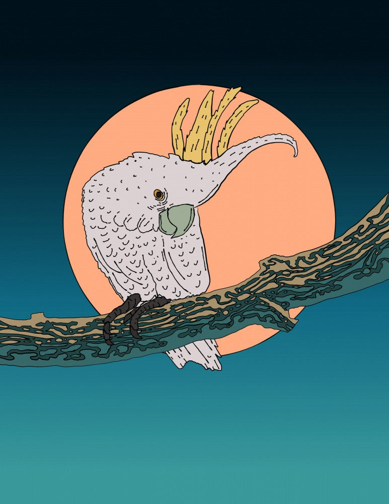 Cockatoo on Branch at Moonrise