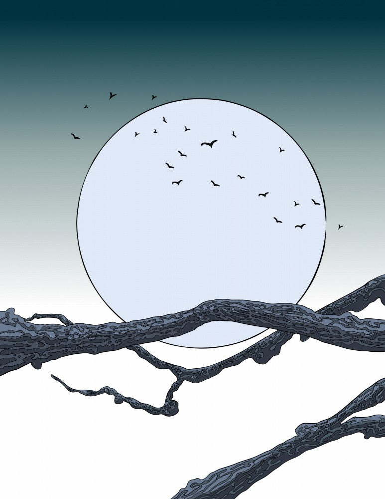 Full Moon and Silhouetted Birds Flying