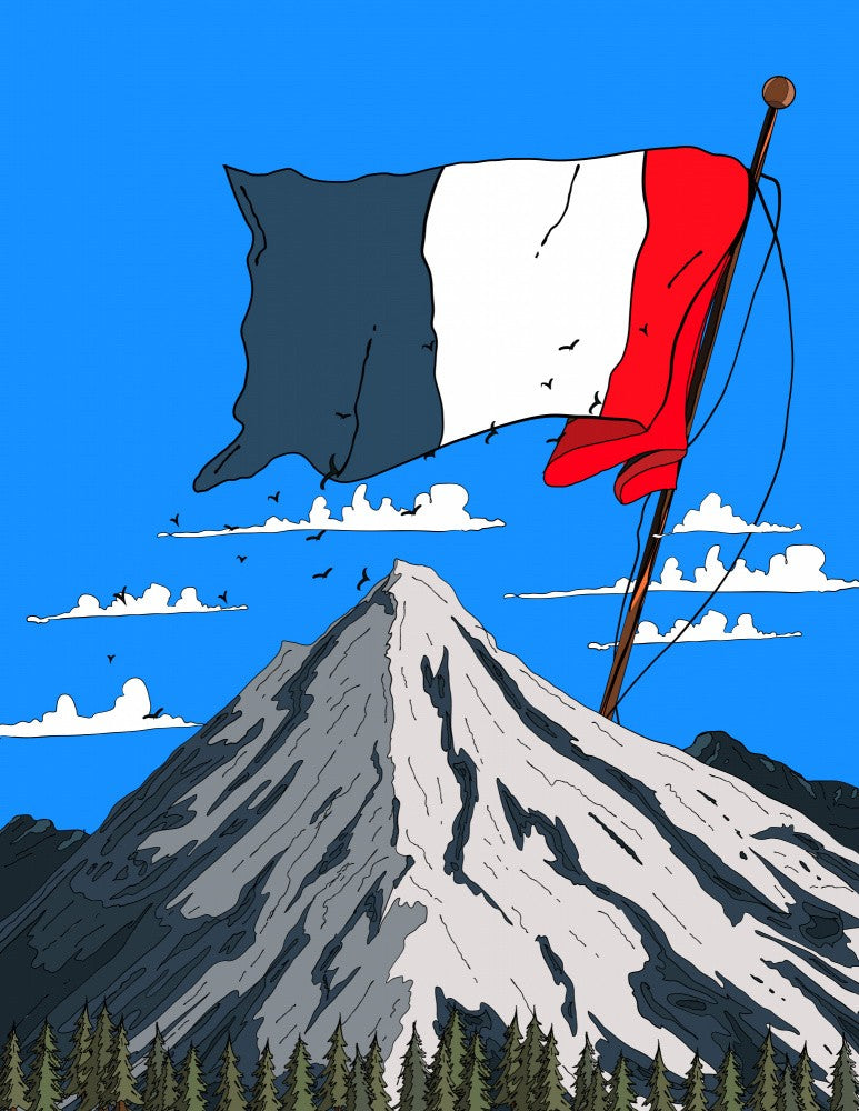 French Flag Waving