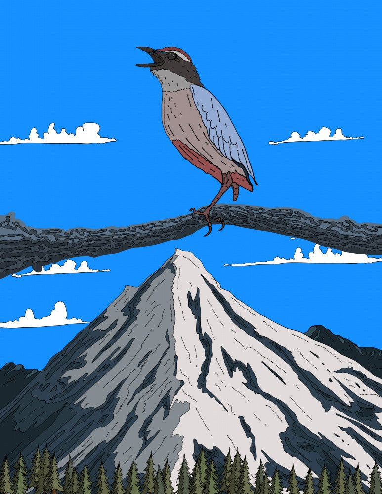 Singing Bird on Mountain Peak