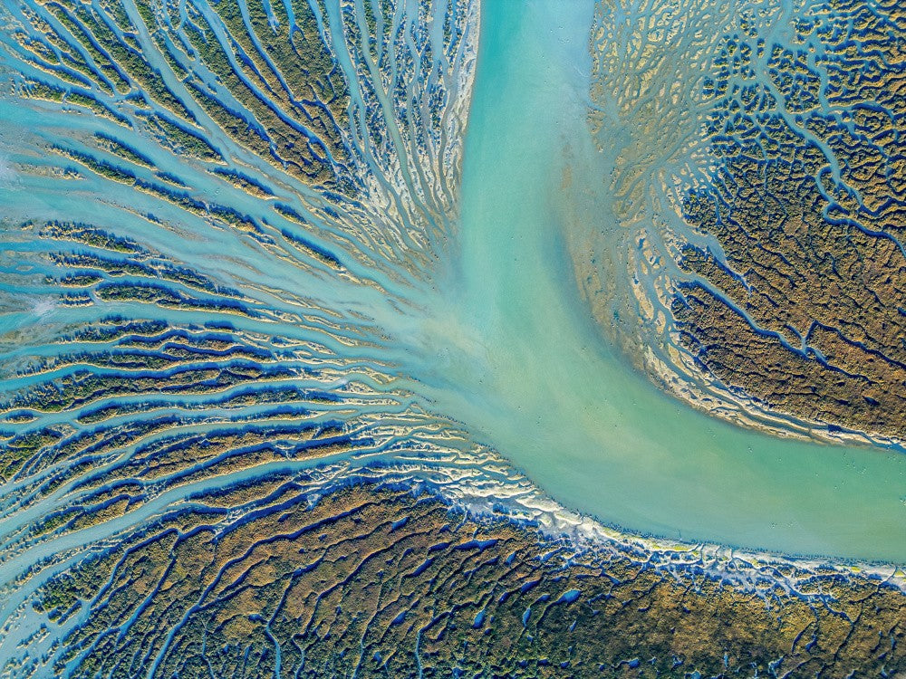 Liquid Pathways of Peace