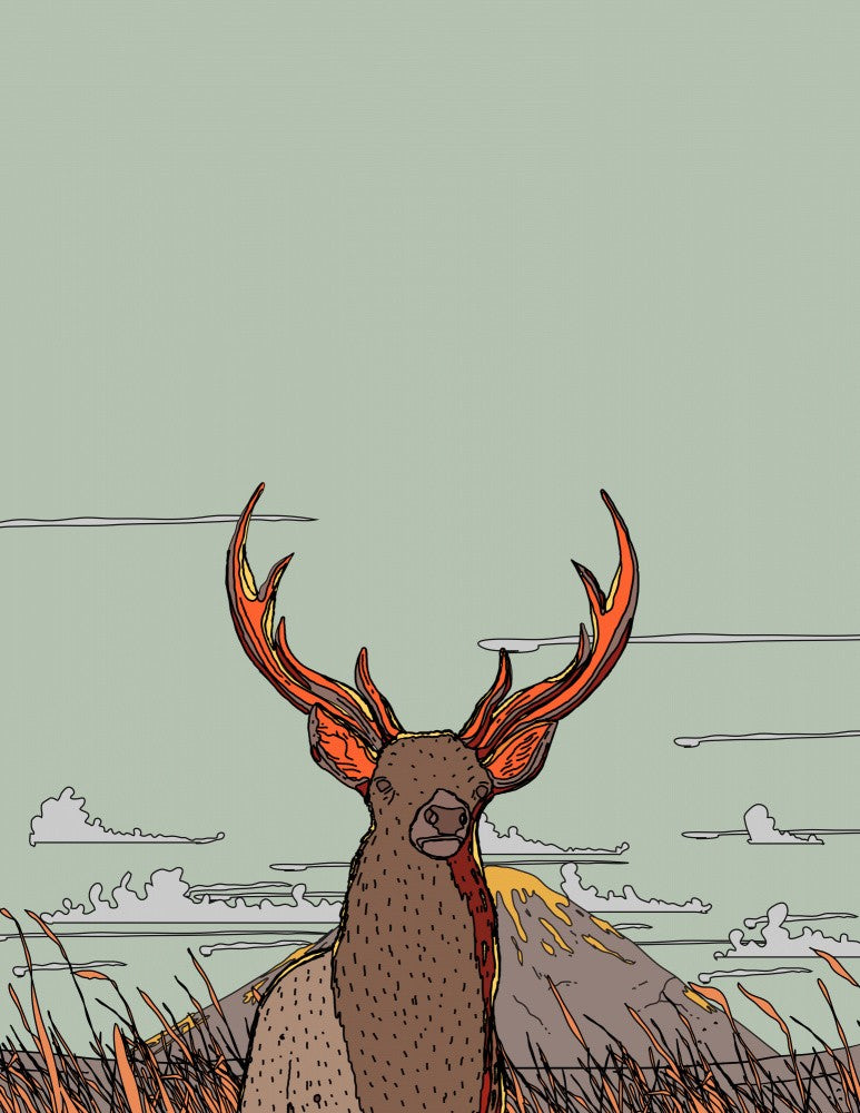 Deer in a Mountain Meadow