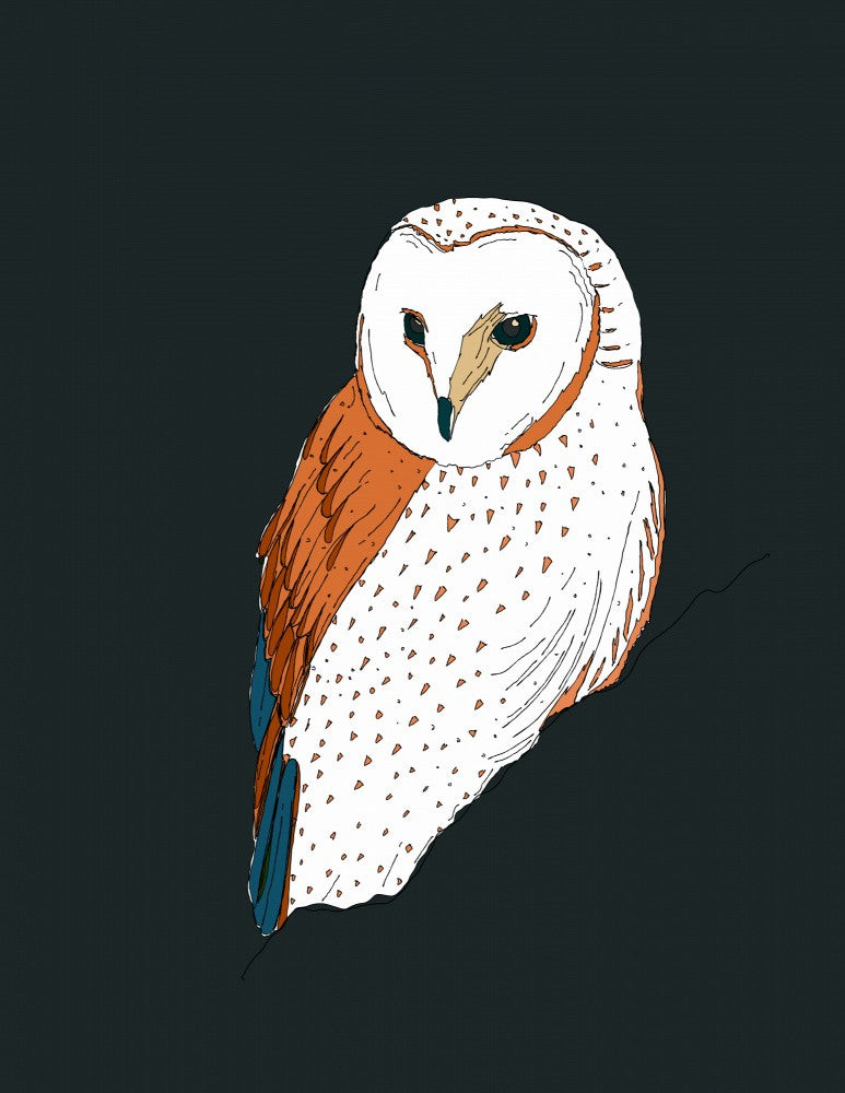 Owl At Midnight