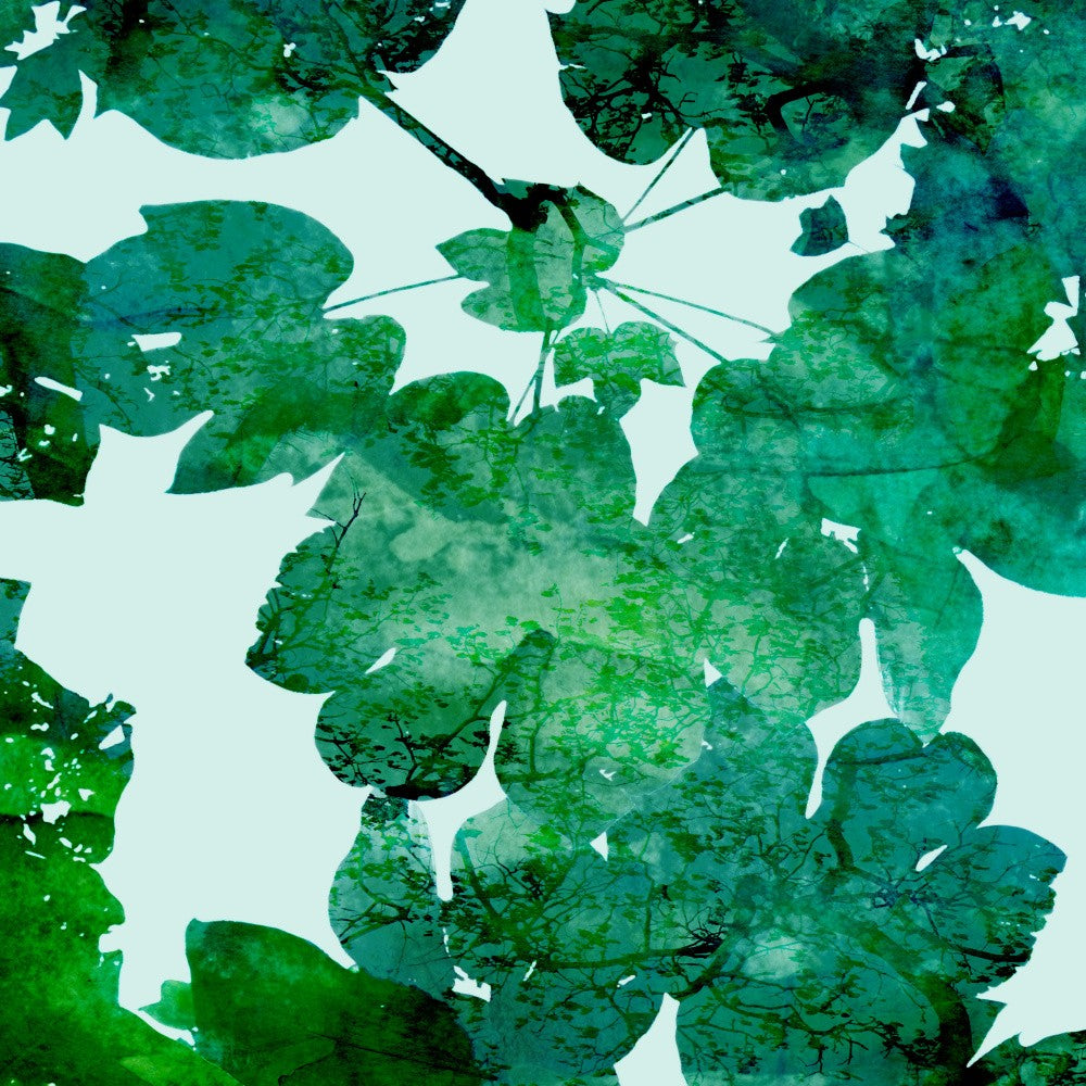 Lush Green Leaves