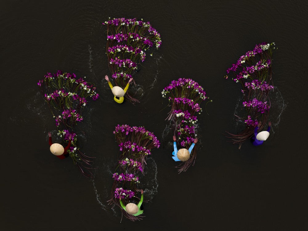 Fragrance and Colors of the River