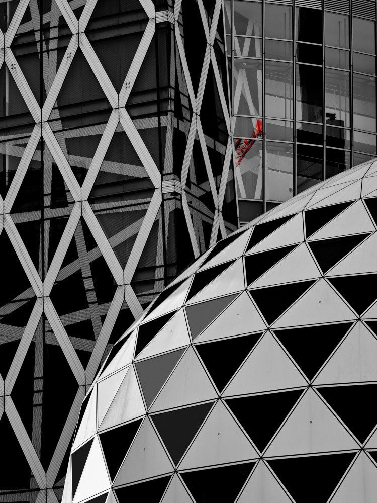 Red crane with reflection.