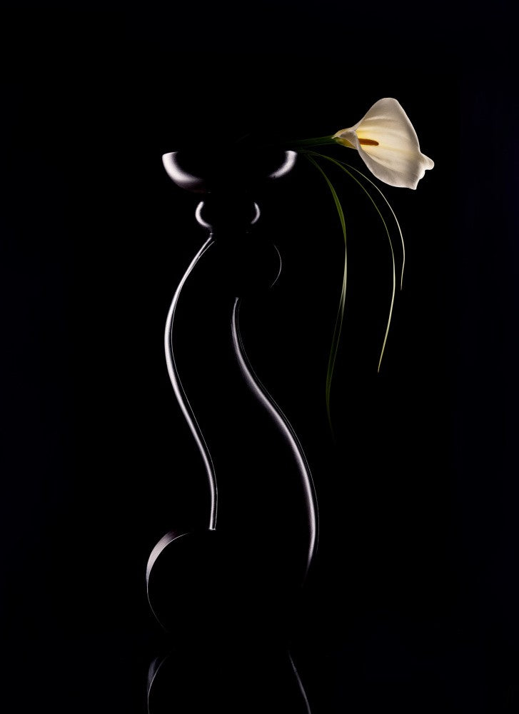 Elegant Curves