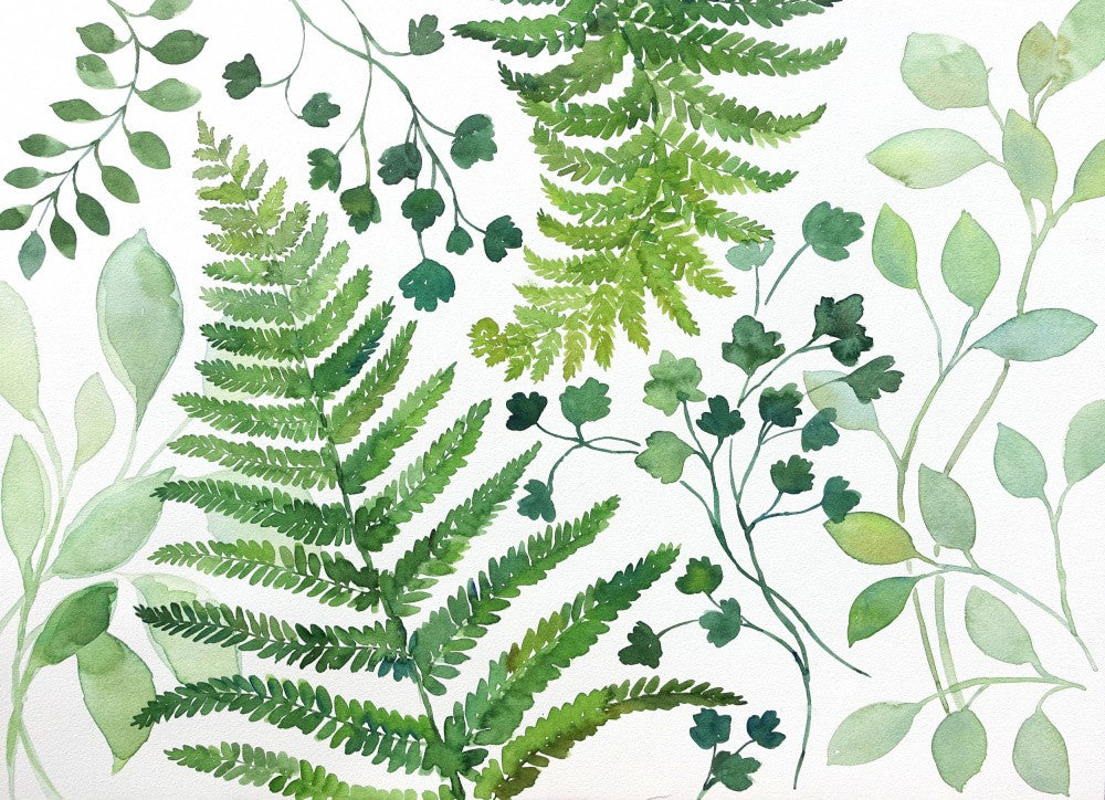 Diverse Green Leaves and Fern