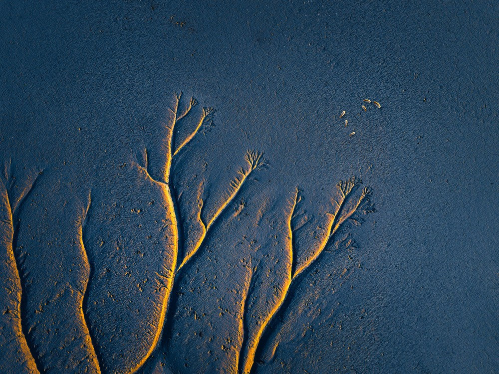 Golden landtree