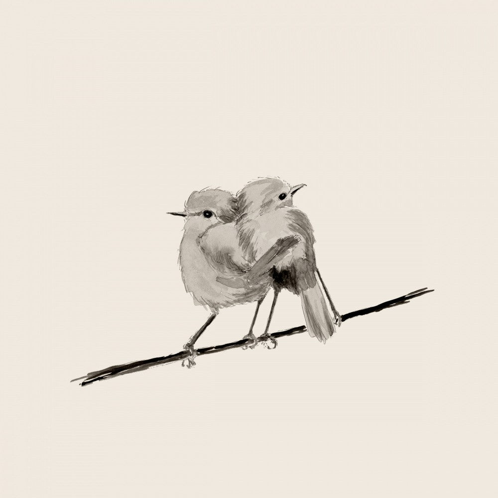Two Birds Perched Closely on a Branch