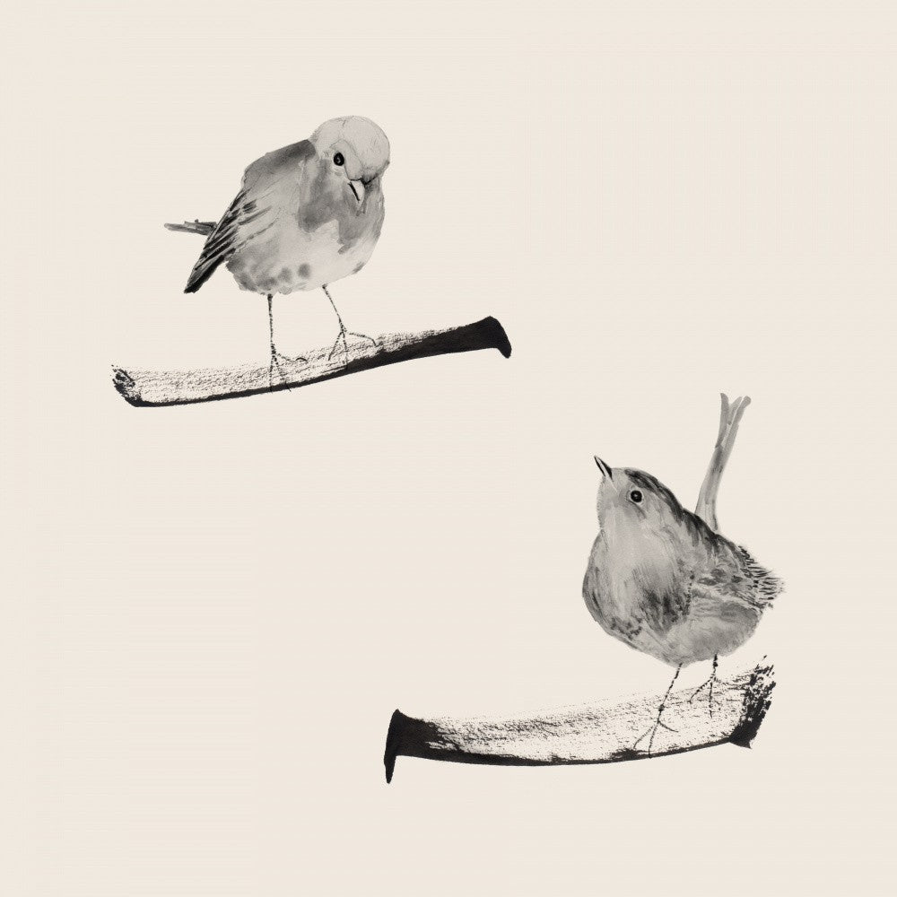 Two Robins On Branches