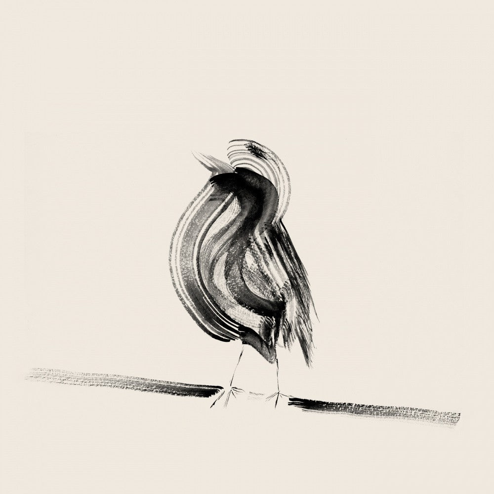 Bird on a Branch