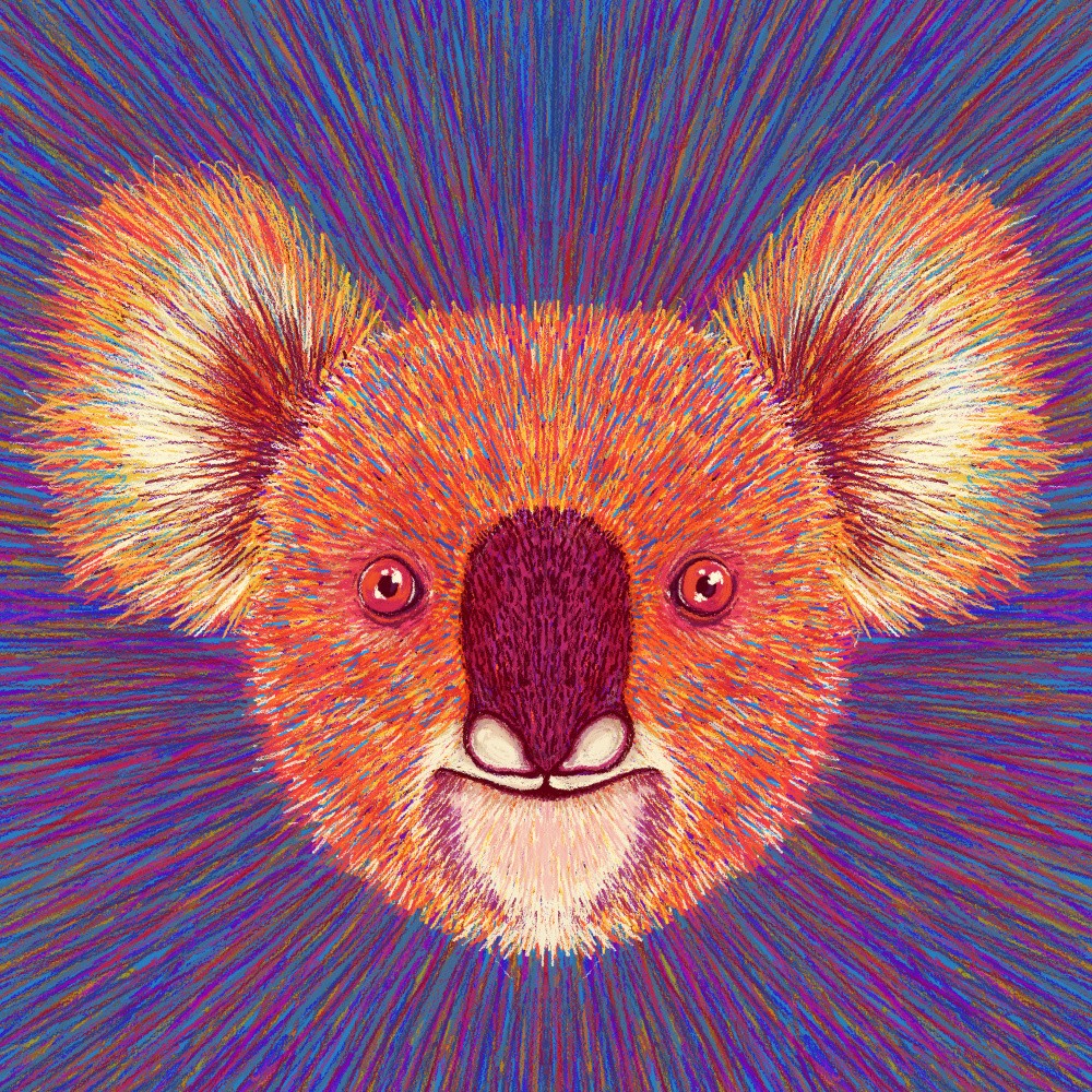 Animal Face   Koala