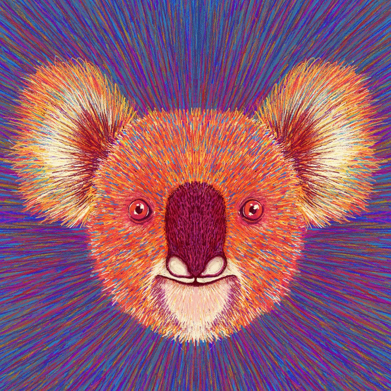 Animal Face   Koala