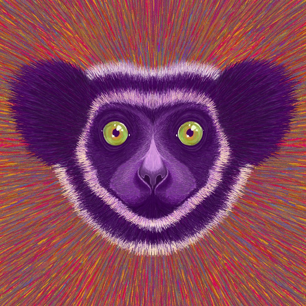 Tiergesicht Lemur