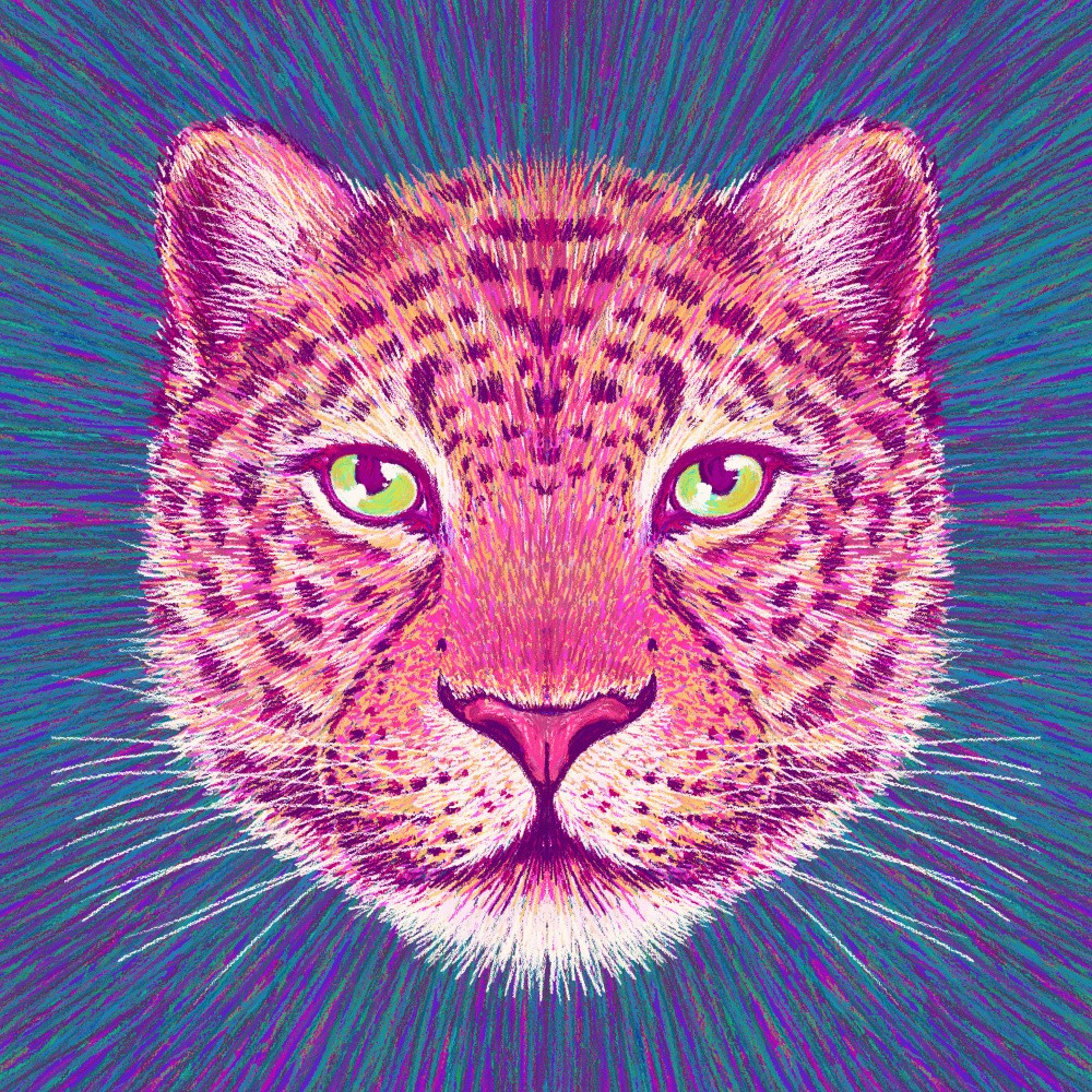 Animal Face   Leopard