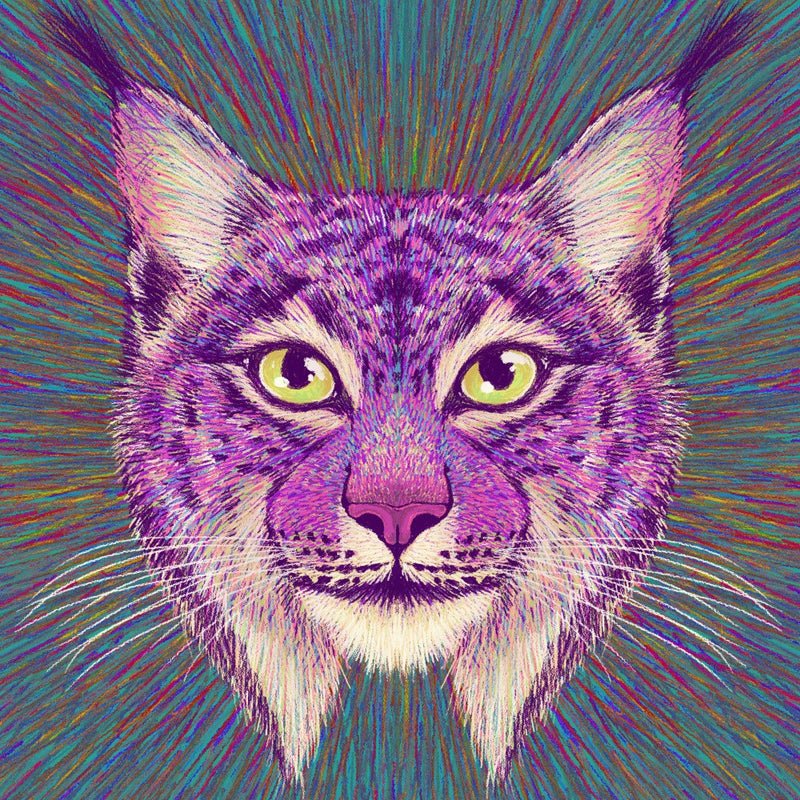 Animal Face   Lynx