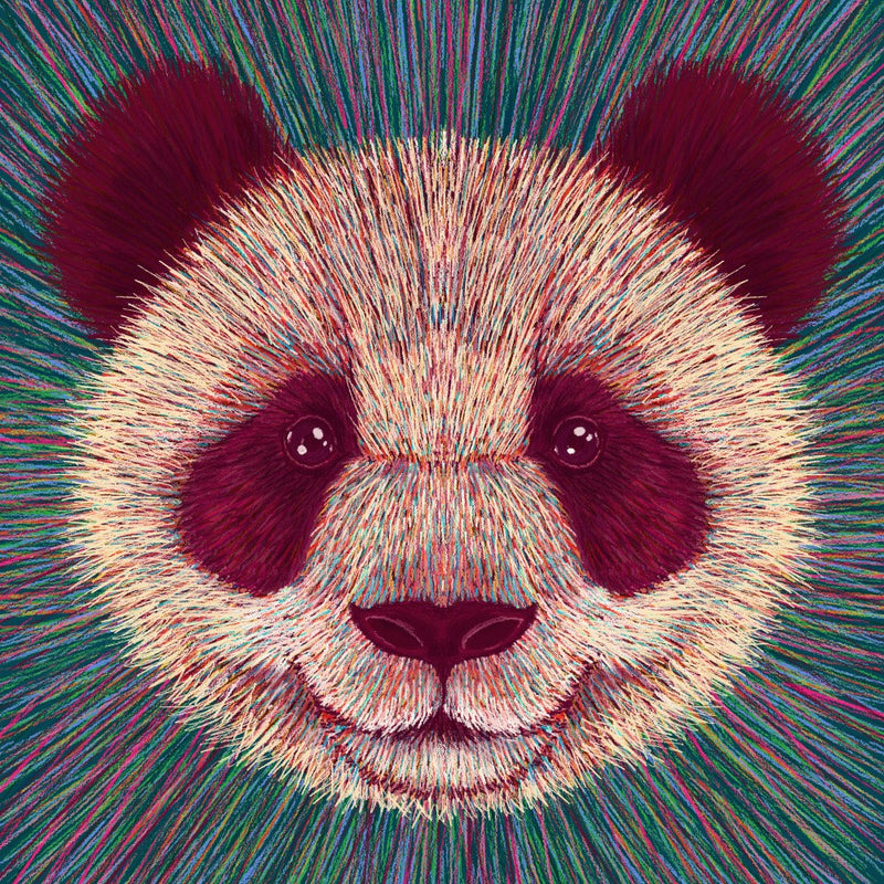 Animal Face   Panda