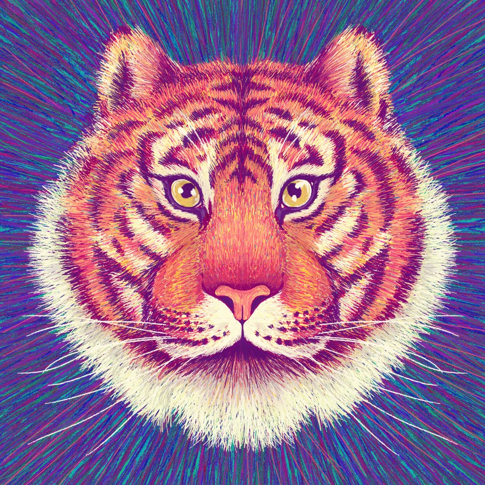 Animal Face   Tiger
