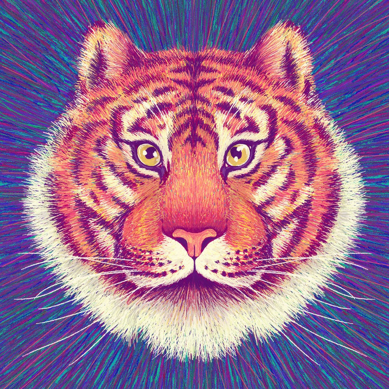 Animal Face   Tiger