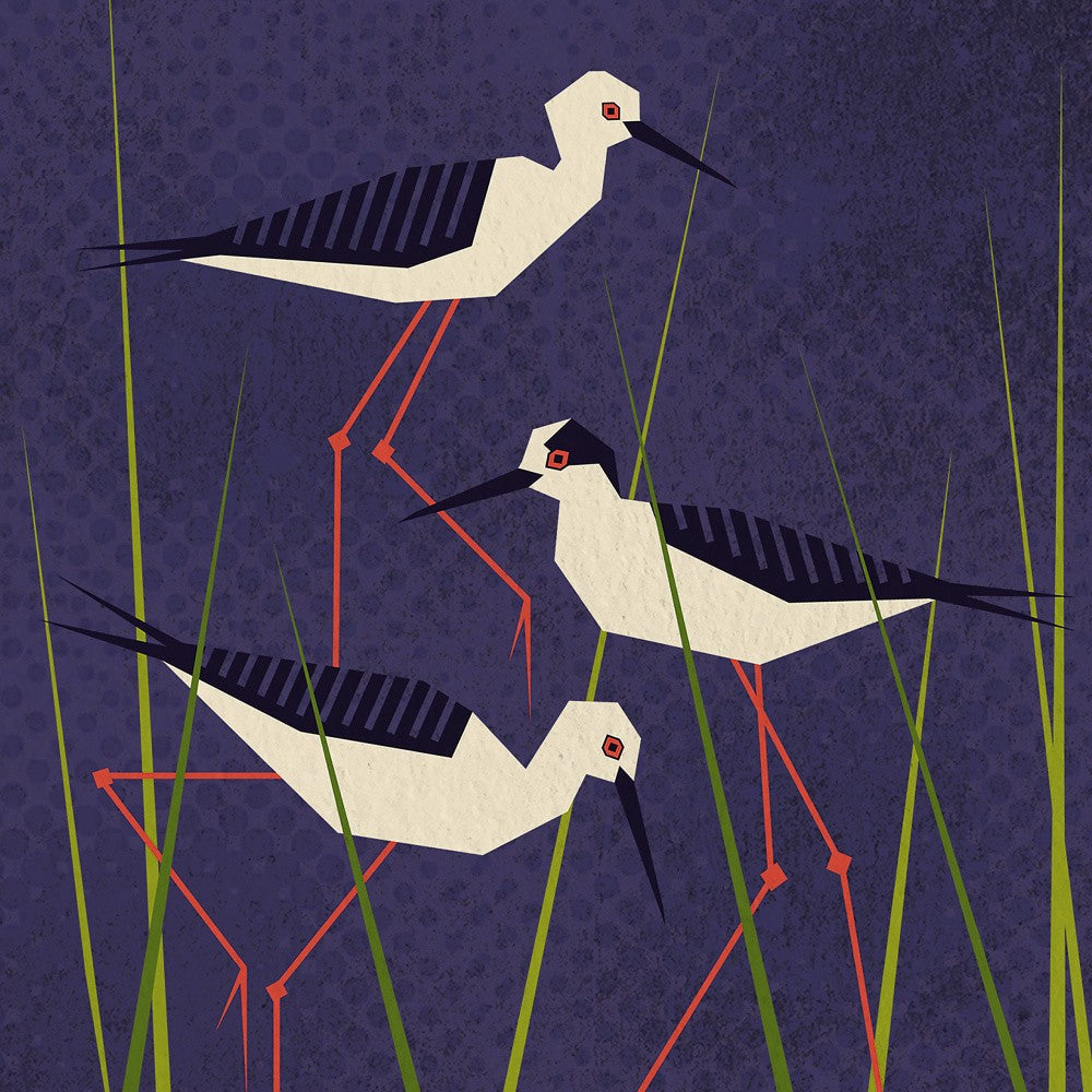 Bird Series   Geometry Stilt