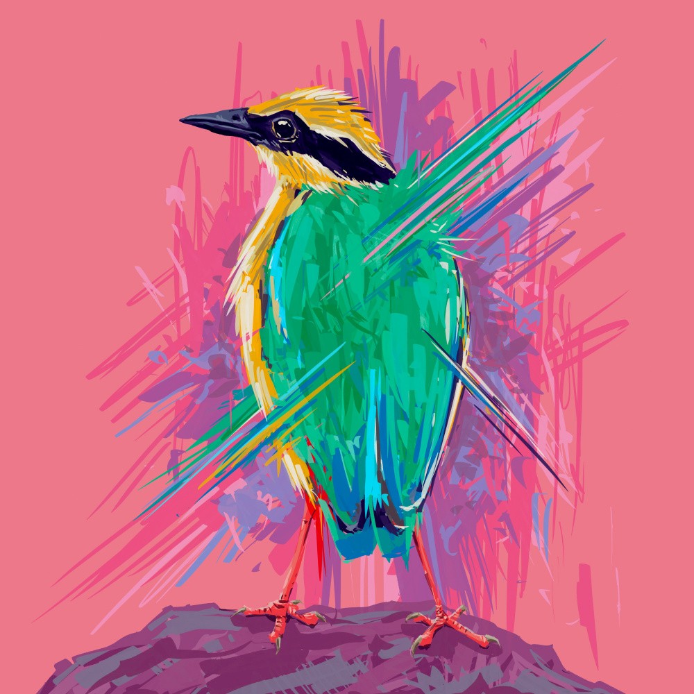Vogel-Serie Indische Pitta