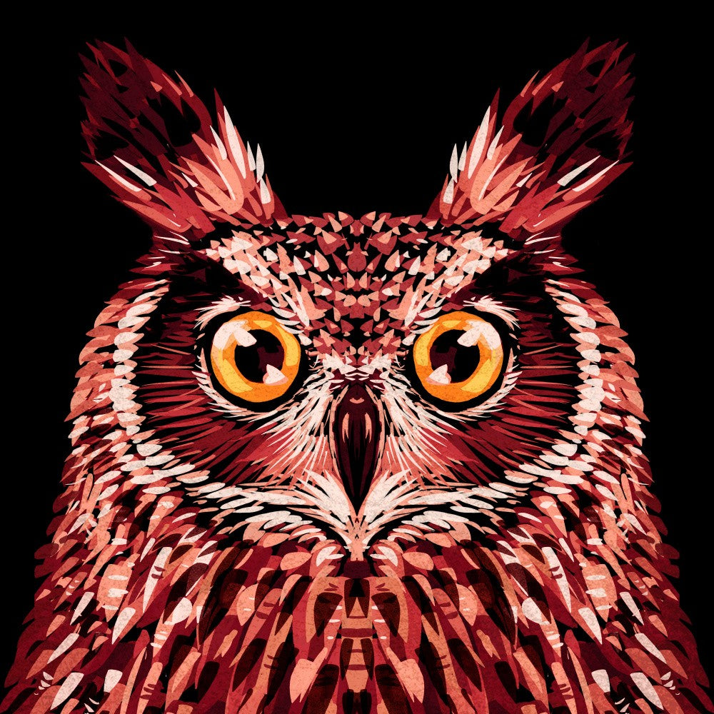 Bird Series   Owl 2