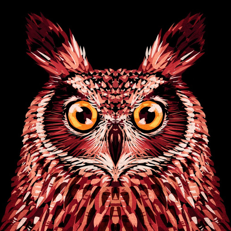 Bird Series   Owl 2
