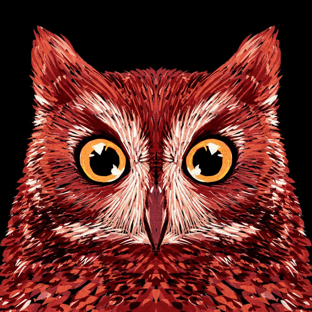 Bird Series   Owl 3