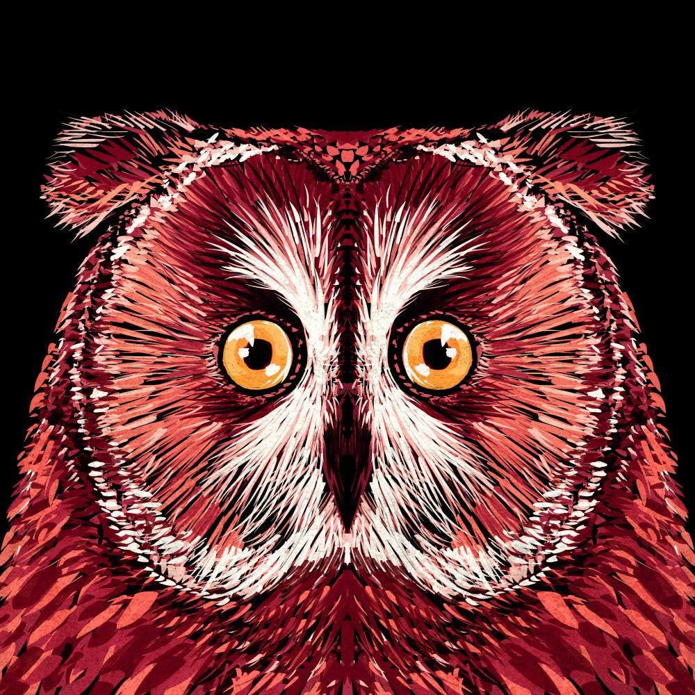 Bird Series   Owl 4