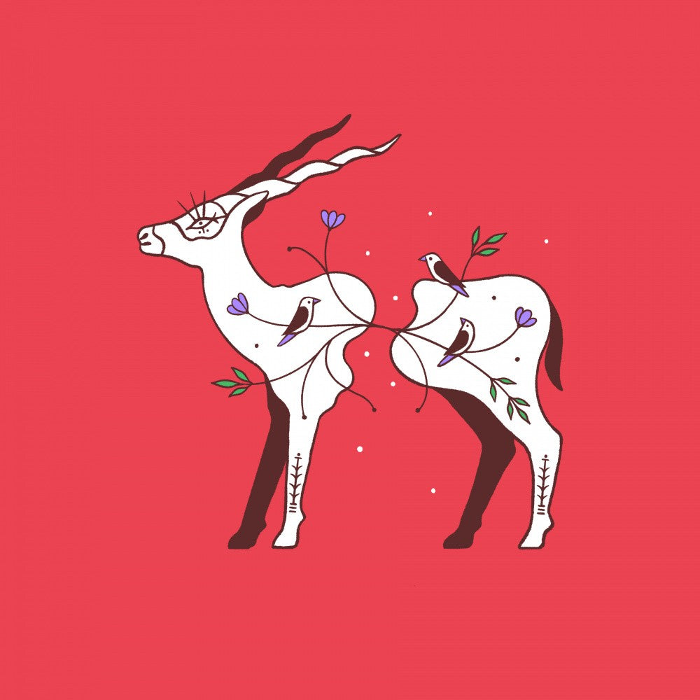 Verbindende Tierwelt Antilope