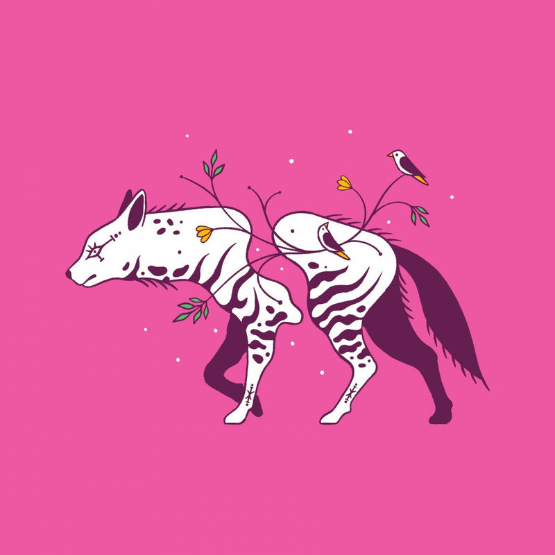 Connecting Wildlife   Hyena