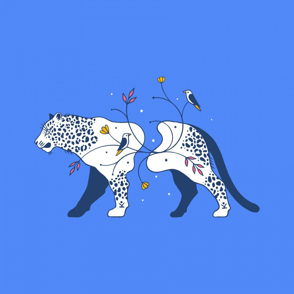 Connecting Wildlife   Leopard