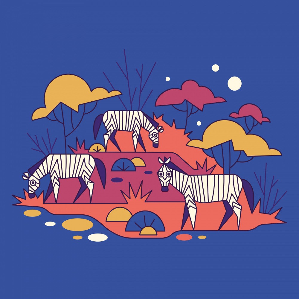 Minimal Wildlife Zebra