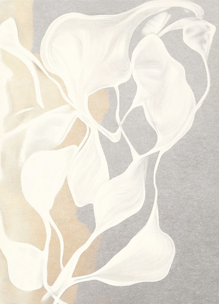 Whispers in White