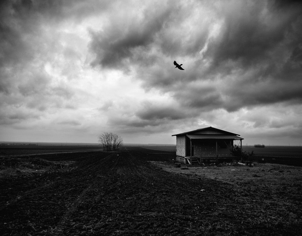 Forgotten