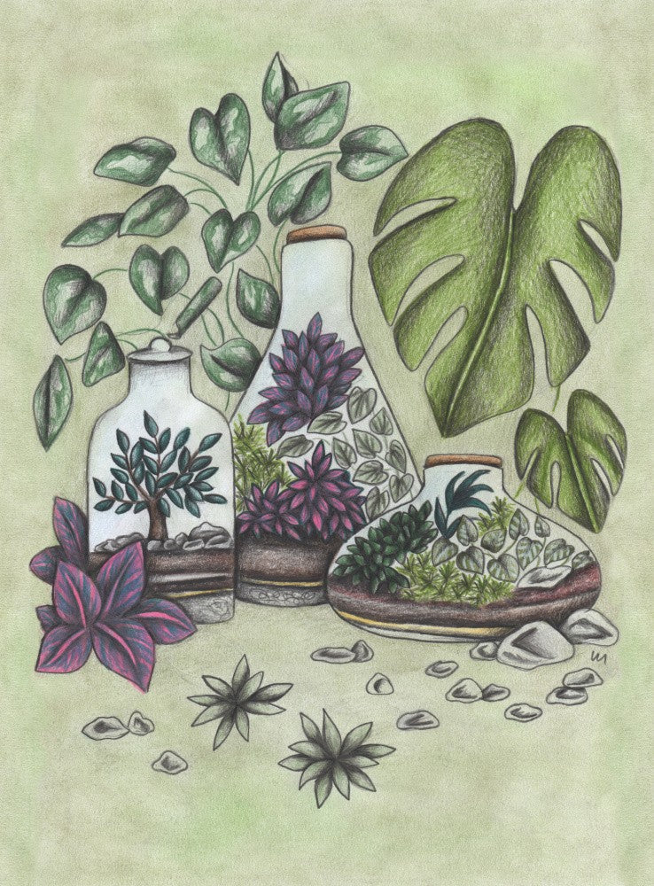 Magical Terrariums