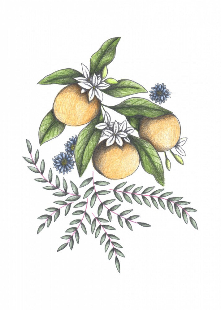 Oranges &amp; Flowers