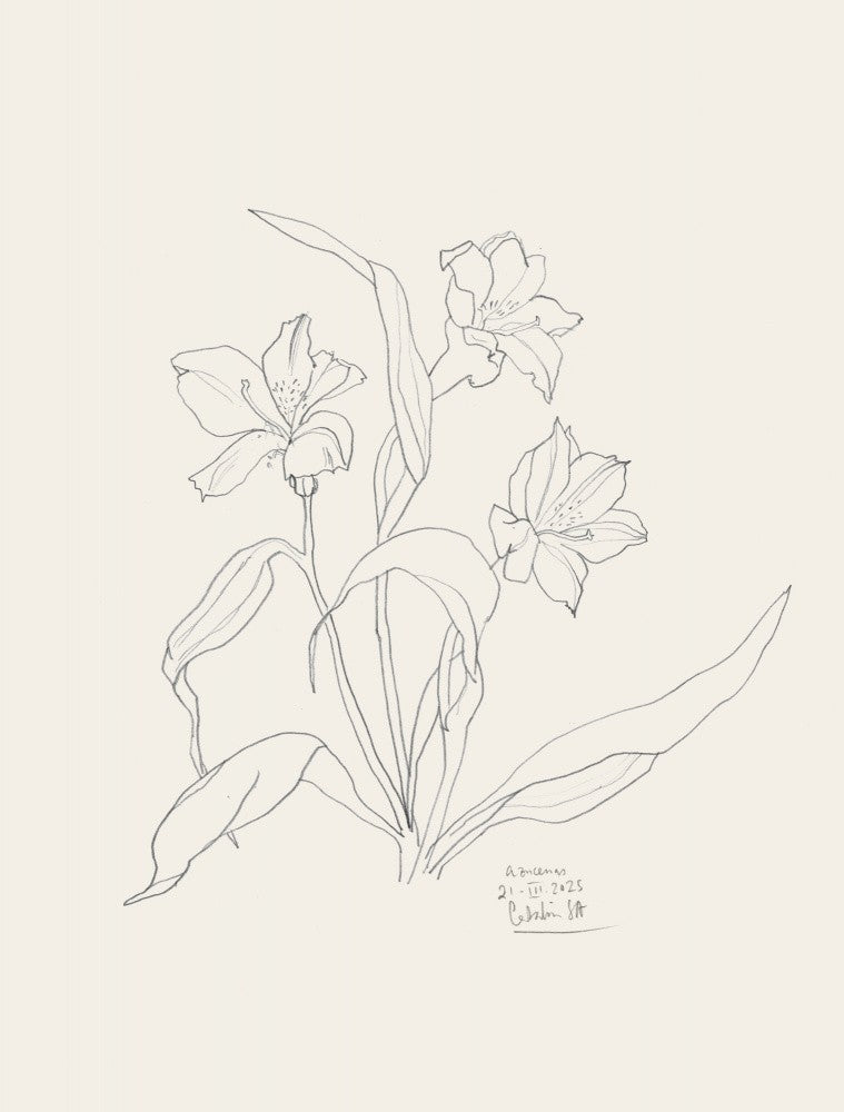 Florale Linien-Eleganz
