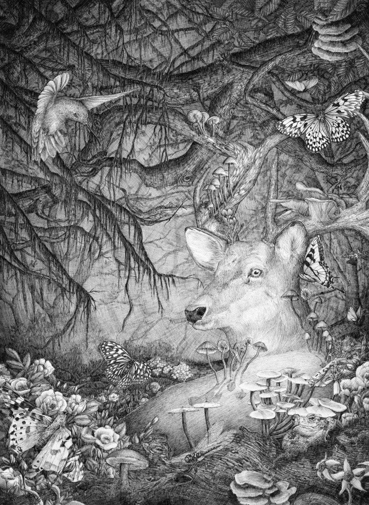 Spirit of the Forest
